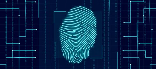 Falcon forensics Falcon forensics